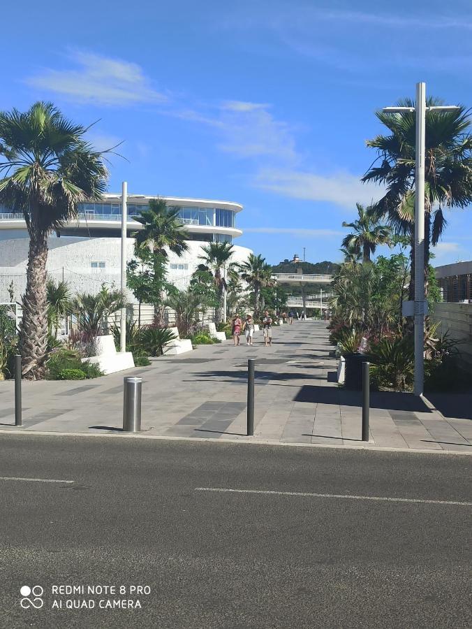Port Studio Piscine, Parking, Prive,Navette Aeroport Agde Exterior foto